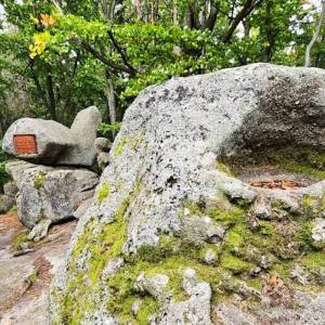 Kociołki w Michałowicach (Piechowice) - kociolki w michalowicach 11