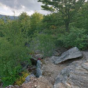 Dawny kamieniołom w Michałowicach (Piechowice) - dawny kamieniolom w michalowicach piechowice 2