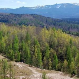 Dawny kamieniołom w Michałowicach (Piechowice) - dawny kamieniolom w michalowicach piechowice 3