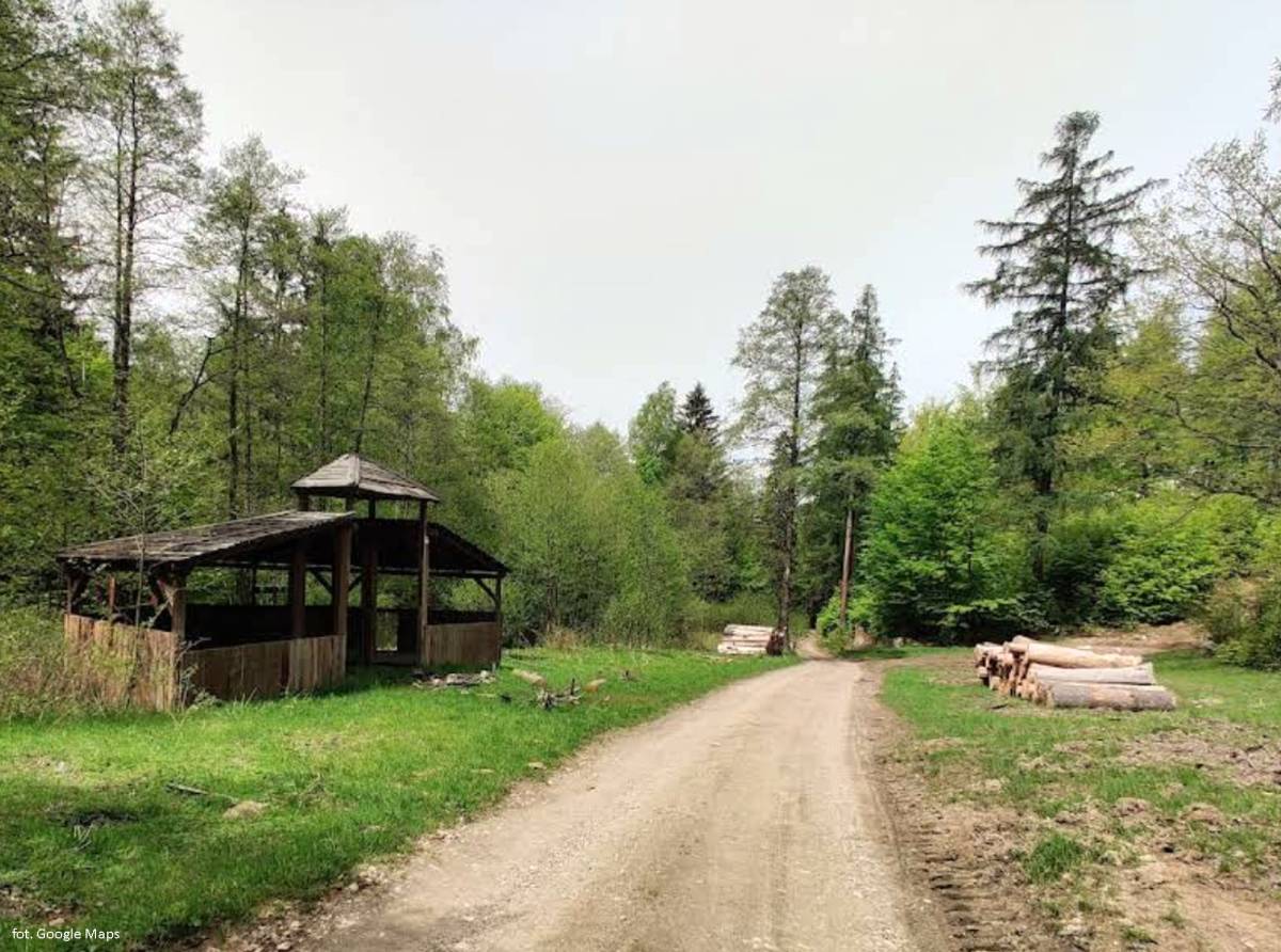 Cicha Dolina w Karkonoszach - cicha dolina w karkonoszach 6