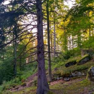 Cicha Dolina w Karkonoszach - cicha dolina w karkonoszach 1