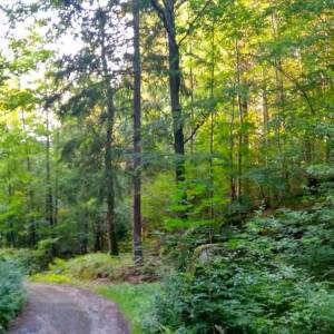 Cicha Dolina w Karkonoszach - cicha dolina w karkonoszach 2