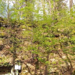 Cicha Dolina w Karkonoszach - sztolnie w gorze sobiesz 5