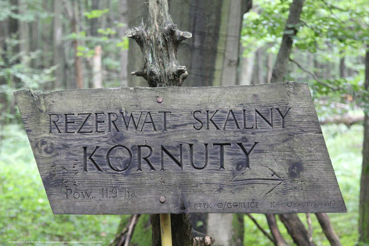 Rezerwat przyrody Kornuty - kornuty nature reserve 2018 p06