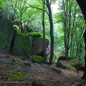 Rezerwat przyrody Kornuty - kornuty3js