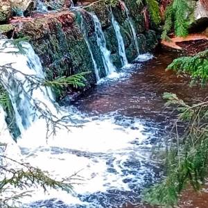 Leśny wodospad na Kwisie - lesny wodospad na kwisie 1