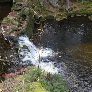 Leśny wodospad na Kwisie - lesny wodospad na kwisie 6