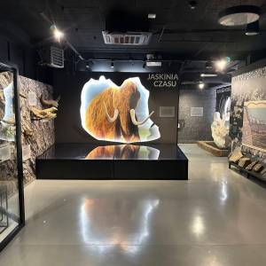 Muzeum Przyrodnicze Bieszczadzkiego Parku Narodowego w Ustrzykach - muzeum przyrodnicze bieszczadzkiego parku narodowego w ustrzykach2