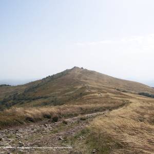 Ścieżka przyrodnicza „Połonina Wetlińska” - hasiakowa skala