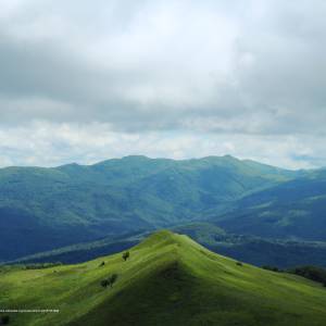 Ścieżka przyrodnicza „Połonina Caryńska” - polonina carynska bieszczady czerwiec 2016r