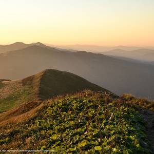 Ścieżka przyrodnicza „Połonina Caryńska” - polonina carynska in the evening 3