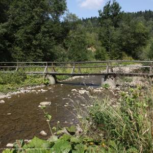 Ścieżka przyrodniczo-historyczna „Tarnawa Niżna – Dźwiniacz Górny” - tarnawa nizna rozroki 01