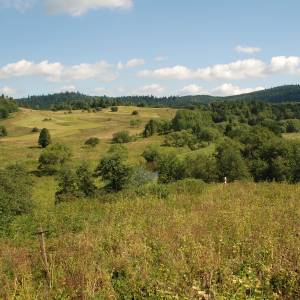 Ścieżka przyrodniczo-historyczna „Tarnawa Niżna – Dźwiniacz Górny” - tarnawa nizna hb11