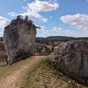 Skały Mirowskie - skala grzyb w mirowie 4