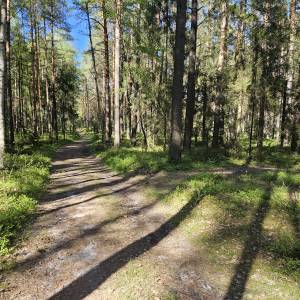 Grób żołnierzy niemieckich w Mikołesce - grob zolnierzy niemieckich w mikolesce 2026 05 10 6