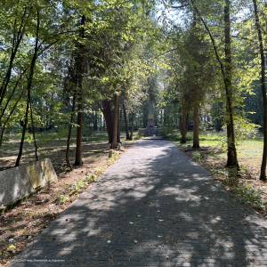 Cmentarz Żołnierzy Radzieckich w Augustowie - cmentarz zolnierzy radzieckich w augustowie 4