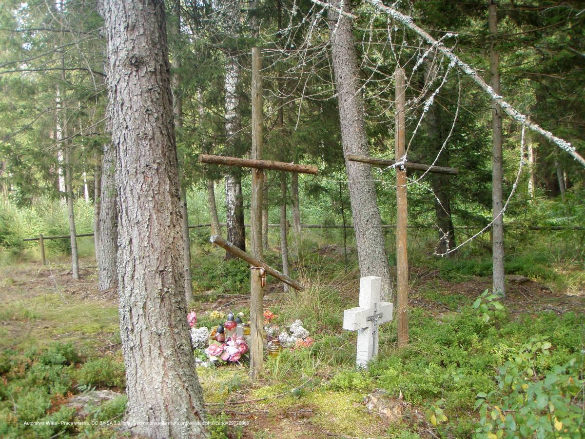 Cmentarz wojenny w Sajenku - world war i cemetery in augustow sajenek 08