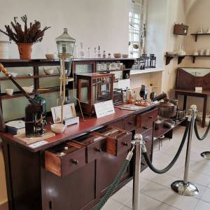 Muzeum Uniwersytetu Medycznego w Białymstoku i Pałacu Branickich - muzeum uniwersytetu medycznego w bialymstoku i palacu branickich3