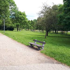 Park Antoniuk - 20220616 134526 june 2022 in bialystok