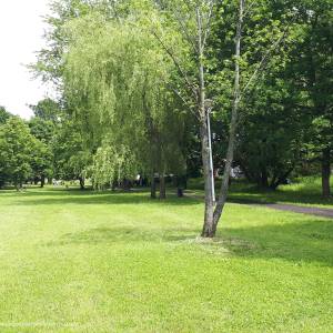 Park Antoniuk - 20220616 142800 june 2022 in bialystok