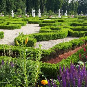 Park Branickich w Białymstoku - 20220619 172301 june 2022 in bialystok