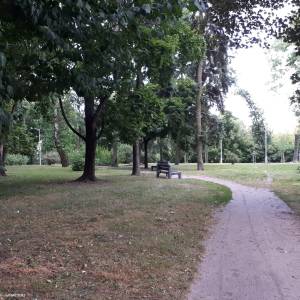 Park Centralny w Białymstoku - 20200729 191930 park centralny in bialystok