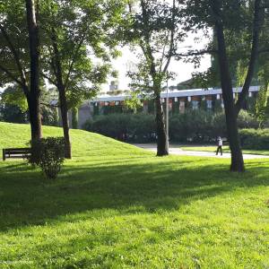 Park Centralny w Białymstoku - 20210808 170523 august 2021 in bialystok