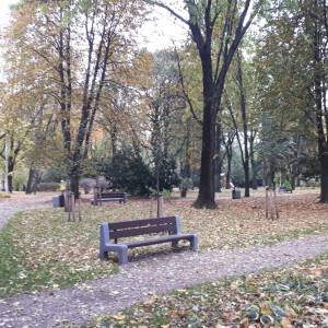 Park Centralny w Białymstoku - 20211015 164220 october 2021 in bialystok