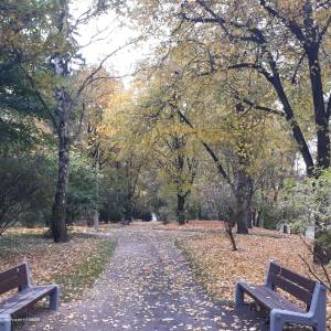 Park Centralny w Białymstoku - 20211015 165015 october 2021 in bialystok