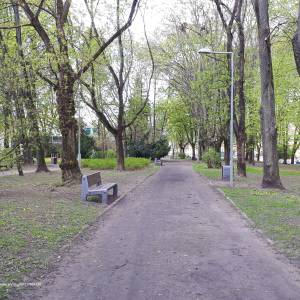 Park Centralny w Białymstoku - 20220503 131917 may 2022 in bialystok