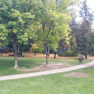 Park Centralny w Białymstoku - 20221009 115657 october 2022 in bialystok