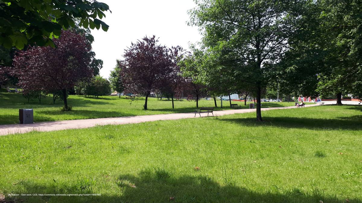 Park im. Jadwigi Dziekońskiej w Białymstoku - 20220619 105625 june 2022 in bialystok