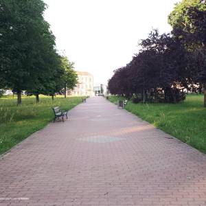 Park im. Jadwigi Dziekońskiej w Białymstoku - 20210718 194416 july 2021 in bialystok