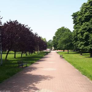 Park im. Jadwigi Dziekońskiej w Białymstoku - 20220619 103058 june 2022 in bialystok
