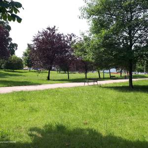 Park im. Jadwigi Dziekońskiej w Białymstoku - 20220619 105625 june 2022 in bialystok