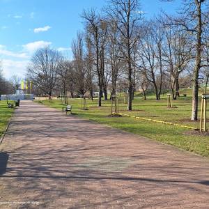Park im. Jadwigi Dziekońskiej w Białymstoku - 20240303 122821 march 2024 in bialystok