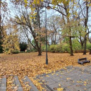 Park Stary im. Księcia Józefa Poniatowskiego - 20231105 123401 november 2023 in bialystok