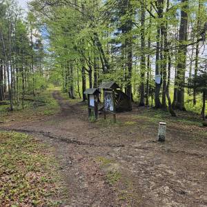Przełecz pod Banią - przelecz pod bania 1