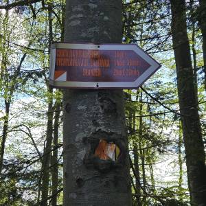 Przełecz pod Banią - przelecz pod bania 5