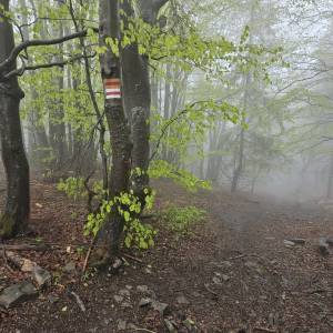 Majcherowa (1105 m n.p.m.) - majherowa 1105 m n p m 1