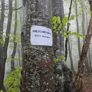 Majcherowa (1105 m n.p.m.) - majherowa 1105 m n p m 13