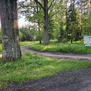 Kładka pieszo-rowerowa Dębowa Przeprawa w Kuczowie - kladka pieszo rowerowa debowa przeprawa w kuczowie 3