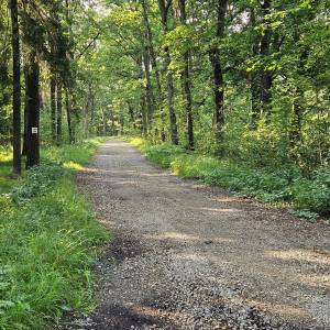 Kładka pieszo-rowerowa Dębowa Przeprawa w Kuczowie - kladka pieszo rowerowa debowa przeprawa w kuczowie 5