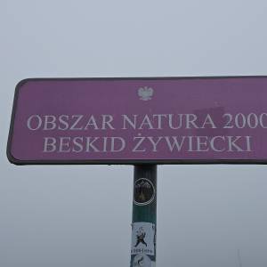 Przełęcz Halna (Przełęcz pod Rycerzową) - przelecz halna 2026 05 5