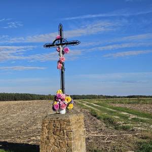 Krzyż przydrożny pośród pól w Przyłęku - krzyz przydrozny posrod pol w przyleku 4