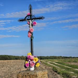 Krzyż przydrożny pośród pól w Przyłęku - krzyz przydrozny posrod pol w przyleku 5