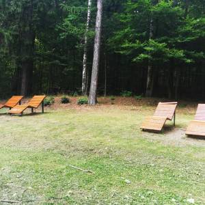Park Zdrojowy w Jedlinie-Zdroju - park zdrojowy w jedlinie zdroju5