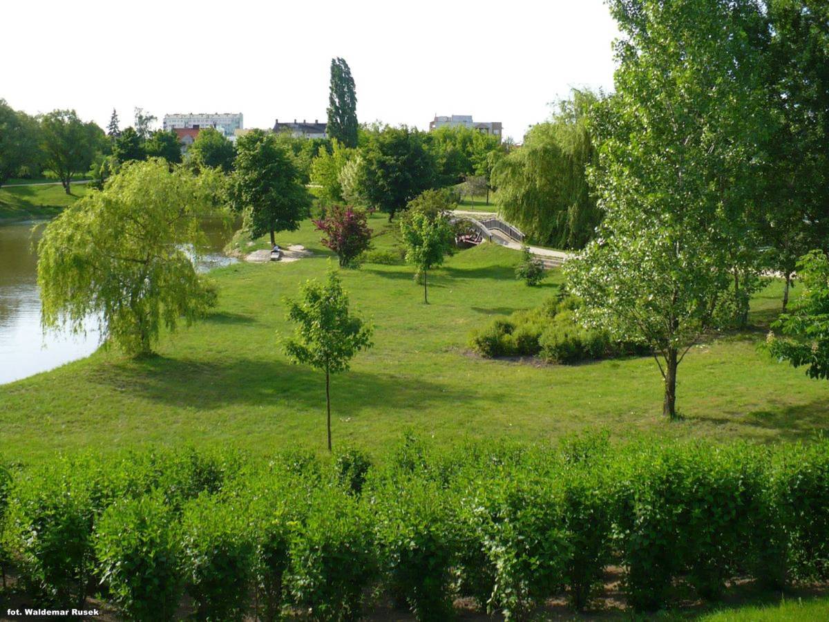 Park Przyjaźni w Kaliszu - park przyjazni w kaliszu 1