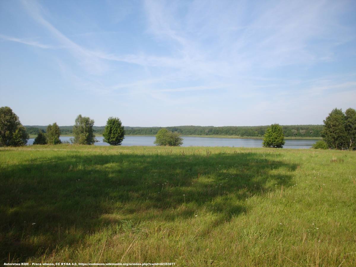 Rezerwat przyrody Jezioro Prosino - rezerwat przyrody jezioro prosino 1