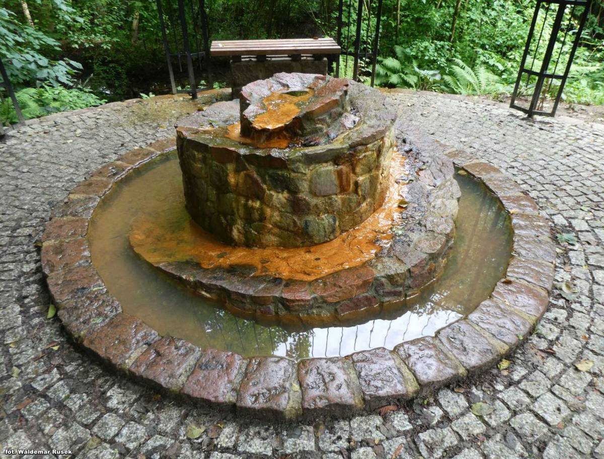 Źródełko Borkowo pod Połczynem-Zdrojem - zrodelko borkowo 7